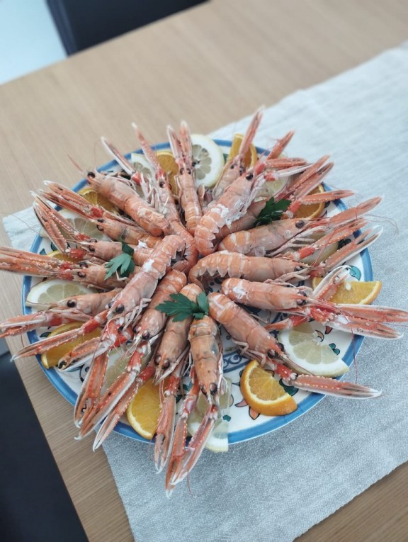 Image of Serenity III yacht #6