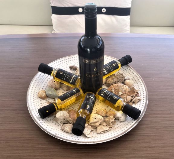 Image of Aeolian Dream yacht #9