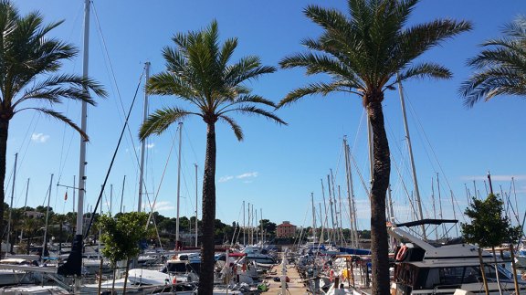 Image of Black Pearl yacht #4