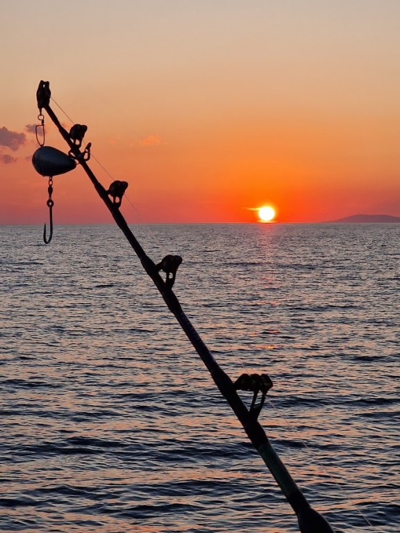 Image of Maslina yacht #8