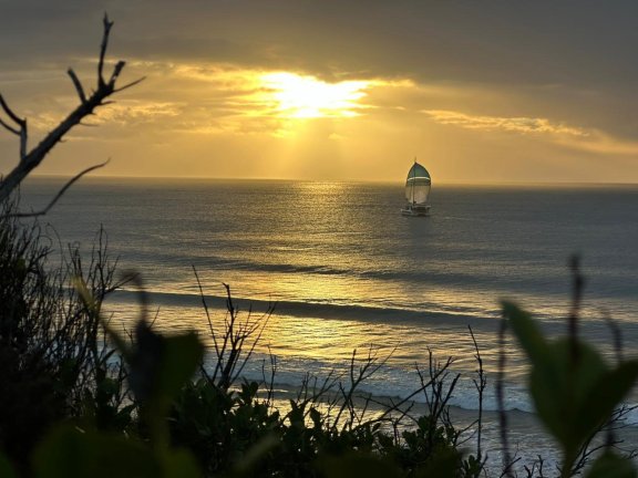 Image of Liquid Coconut yacht #13