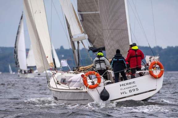 Image of Herbie yacht #6