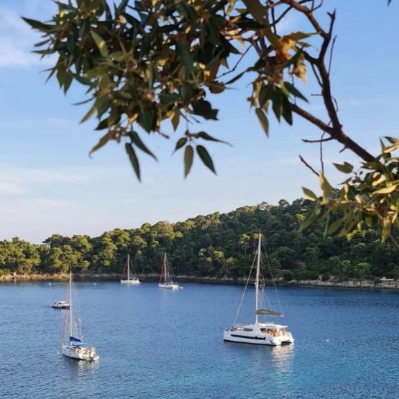 Image of Standra yacht #4