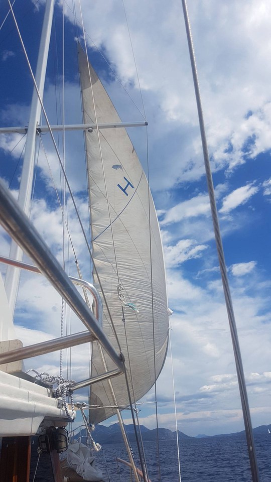 Image of Vito yacht #11