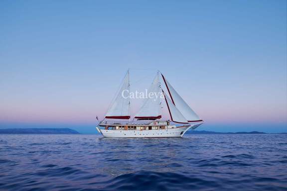 Image of Cataleya yacht #12