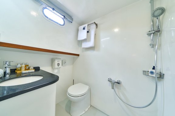 Image of Fortuna yacht #22