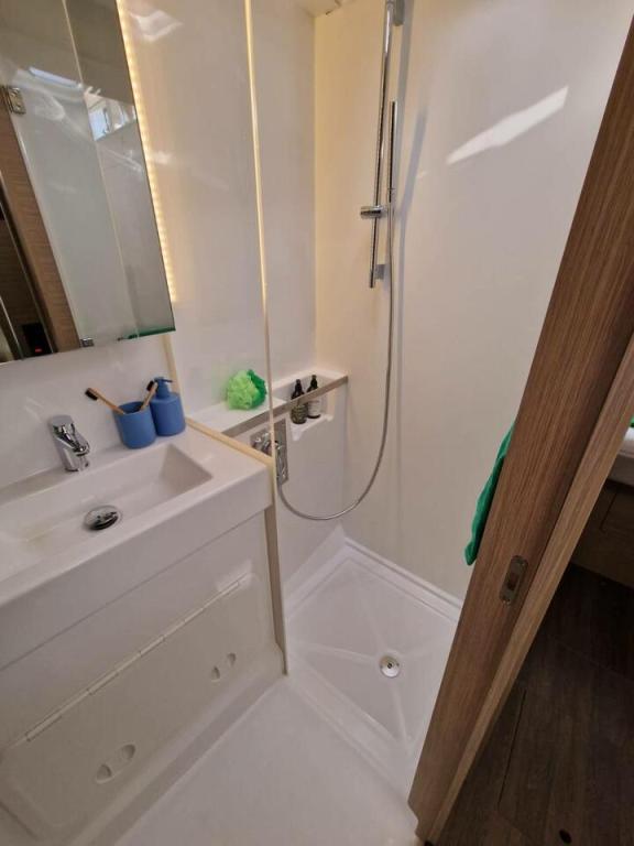 Image of New yacht #15