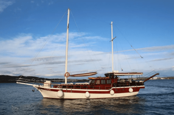 Image of Gulet Babac yacht #2