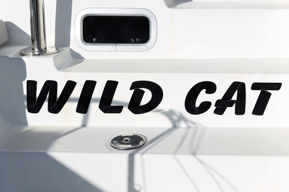 Image of Wild Cat yacht #50