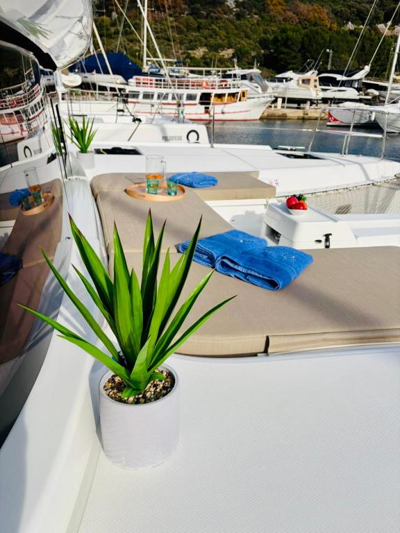 Image of No Limit I yacht #7