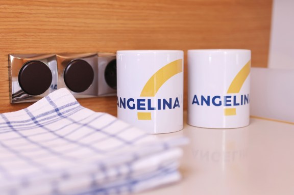 Image of Friendship yacht #44