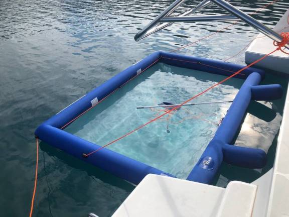 Image of Adriatic Queen yacht #46