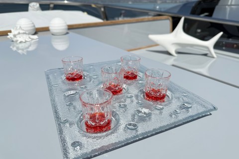 Yanna Pristas's photo from the onboard visit