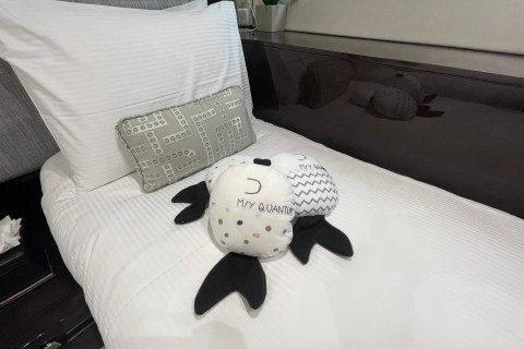 Klara Jakobsen's photo from the onboard visit