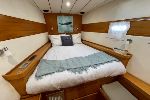 Klara Jakobsen's photo from the onboard visit