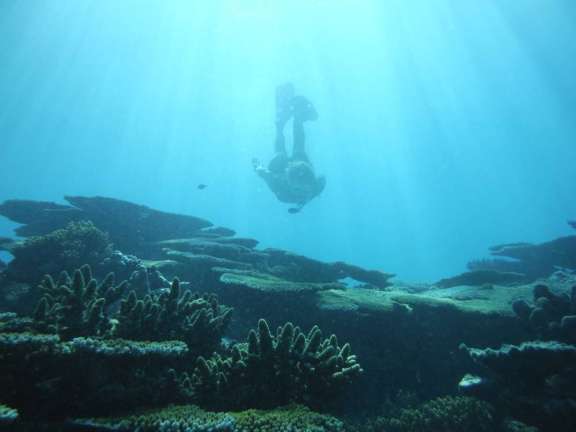 Image of SKYLARK 72 yacht #15