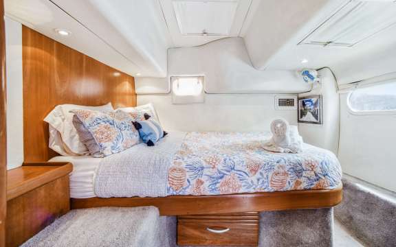 Image of DAYDREAM yacht #12