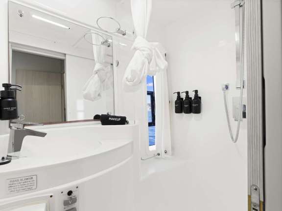 Guest head and shower