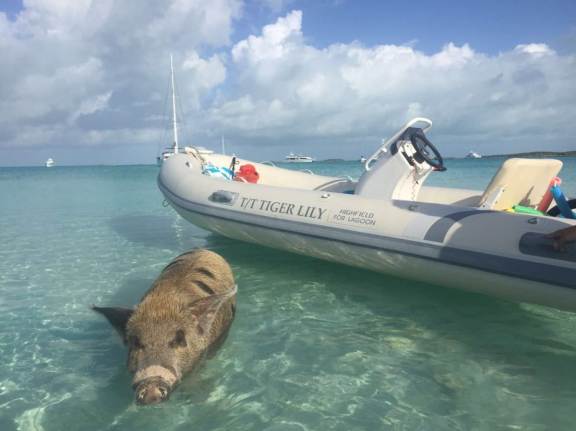 Image of TIGER LILY yacht #12