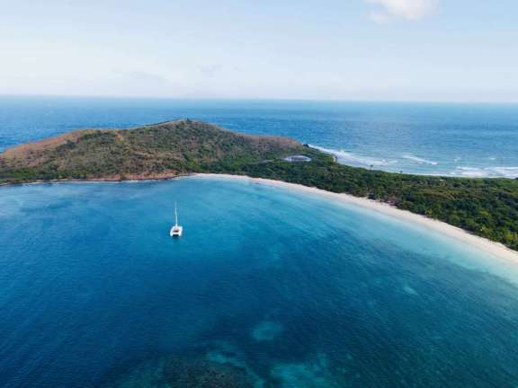 Physalia at remote destinations