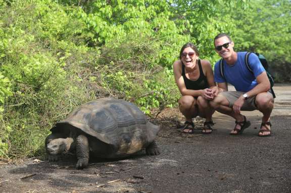 GALAPAGOS BIG TORTOISE