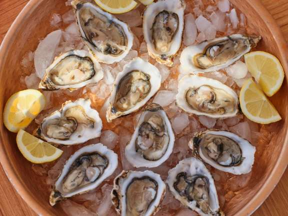 Image of MILOS AT SEA yacht #16