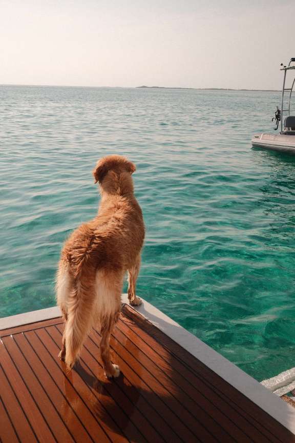 Image of HULYA yacht #14