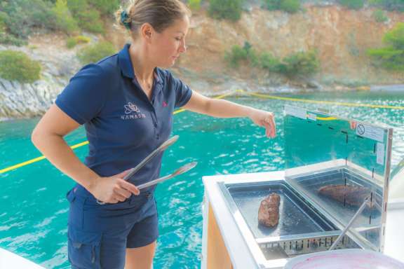 Image of NAMASTE (SAMANA) yacht #15