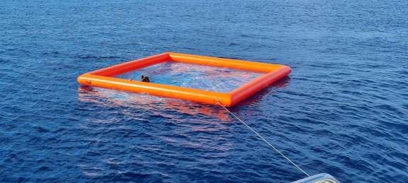 Image of CELINE yacht #18