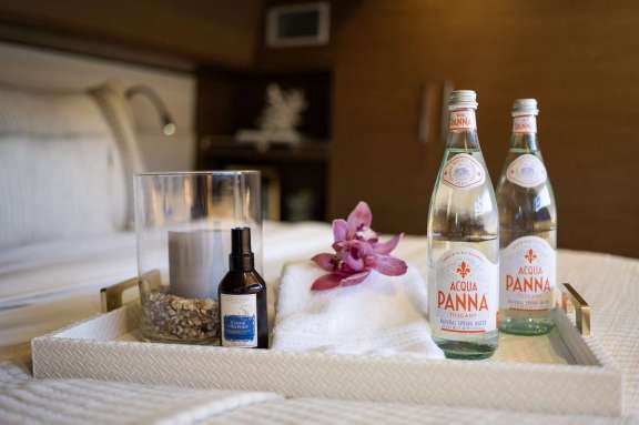 Image of DRAGONFLY yacht #10