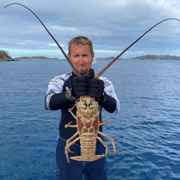 Image of DRAGONFLY yacht #16