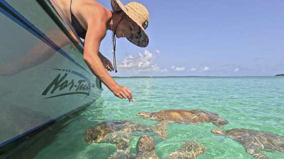 Image of ENTREPRENEUR yacht #18