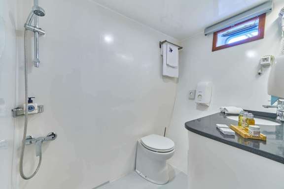 Image of Fortuna yacht #17