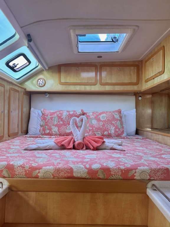 Coral Reef Cabin - King Bed