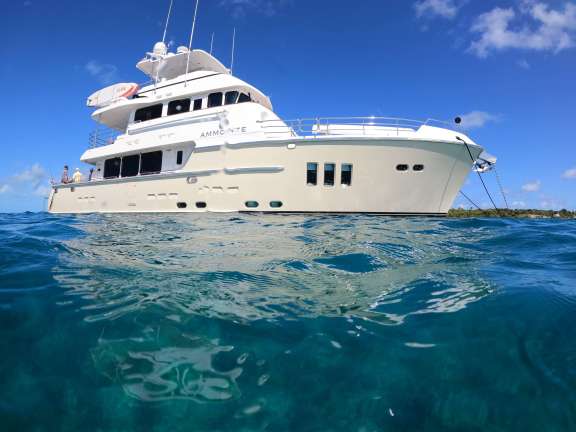 Image of AMMONITE yacht #18