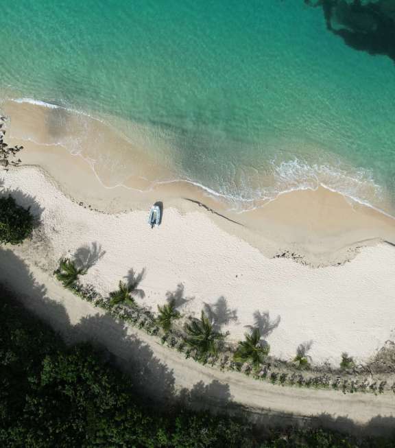 Image of THE ADVENTURE yacht #14