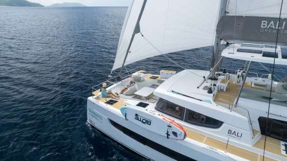 Image of BORROWED BOUNTY yacht #4