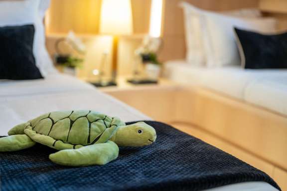 Image of PAREAKI II yacht #11