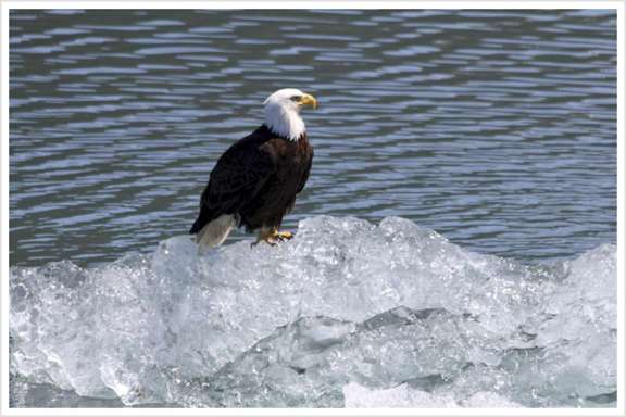 Image of Discovery yacht #10