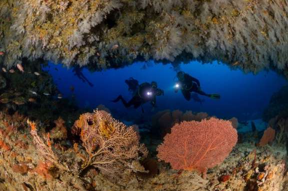 Image of WHITE PEARL yacht #9