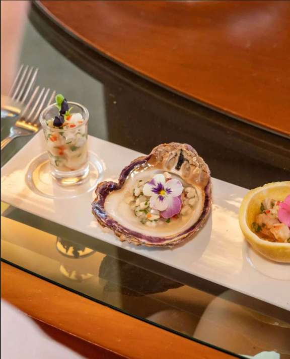 Image of CAMY ED yacht #19