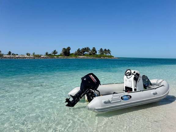 Image of AWATEA yacht #19