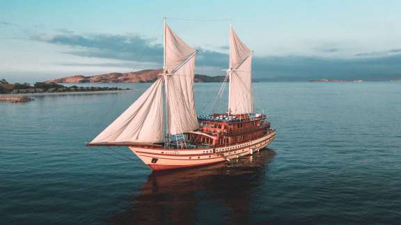 THE MAJ OCEANIC