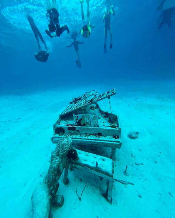 Image of M LEGACY yacht #18